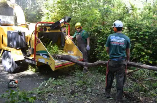 tree services Strong City